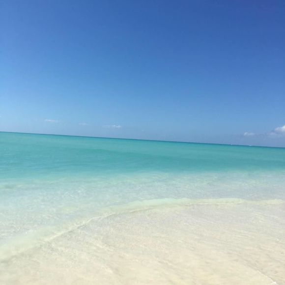 Meet your Posher, Jennifer - Picture 1 of 1